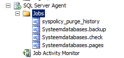 SQL Server 2008 R2 - Labo 4-19 Bekijk de verschillende jobs die dit