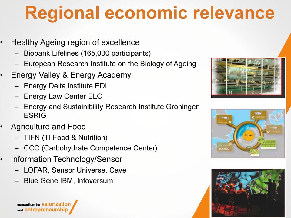 Center ELC Energy and Sustainibility Research Institute Groningen ESRIG Agriculture and Food TIFN (TI Food &