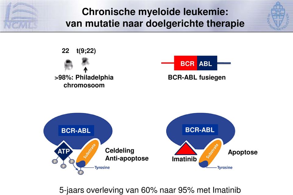 Tyrosine kinase BCR-ABL Constitutief actief Proliferatie - overleving signaal