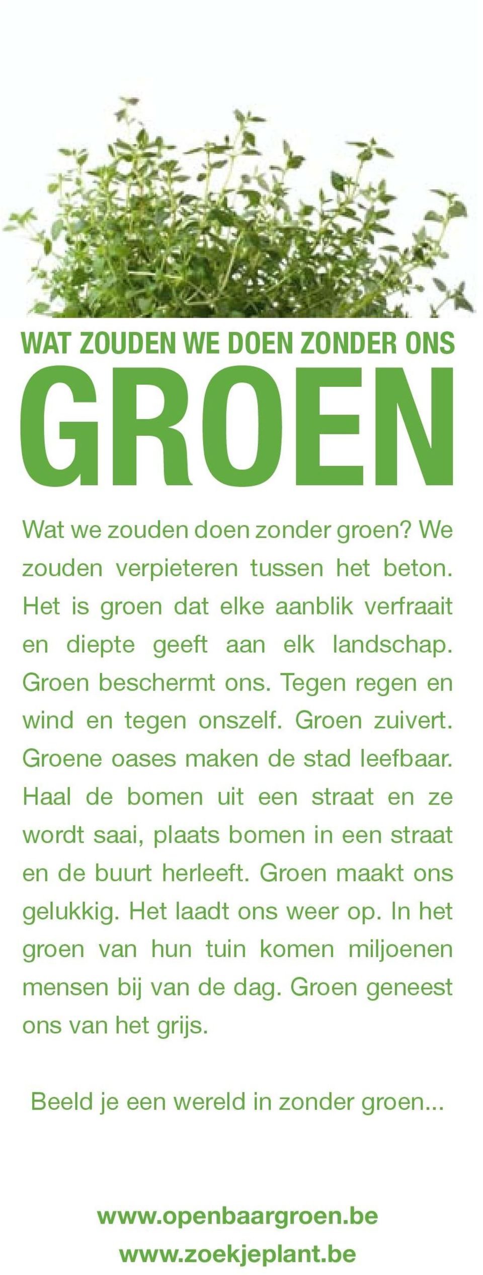 Groene oases maken de stad leefbaar. Haal de bomen uit een straat en ze wordt saai, plaats bomen in een straat en de buurt herleeft.