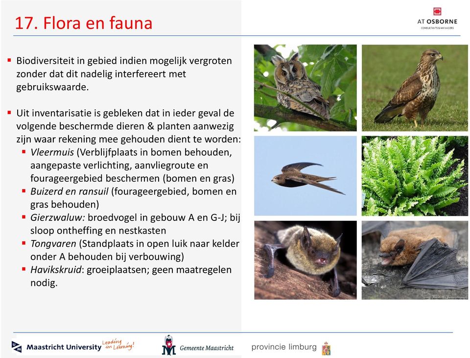 (Verblijfplaats in bomen behouden, aangepaste verlichting, aanvliegroute en fourageergebied beschermen (bomen en gras) Buizerd en ransuil (fourageergebied, bomen en gras