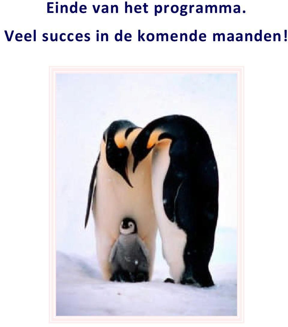 Veel succes in