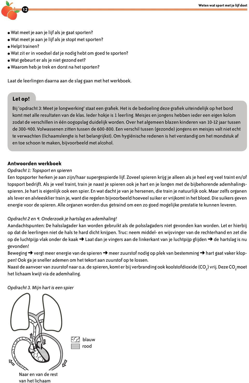 Laat de leerlingen daarna aan de slag gaan met het werkboek. Let op! Bij 'opdracht 3: Meet je longwerking' staat een grafiek.