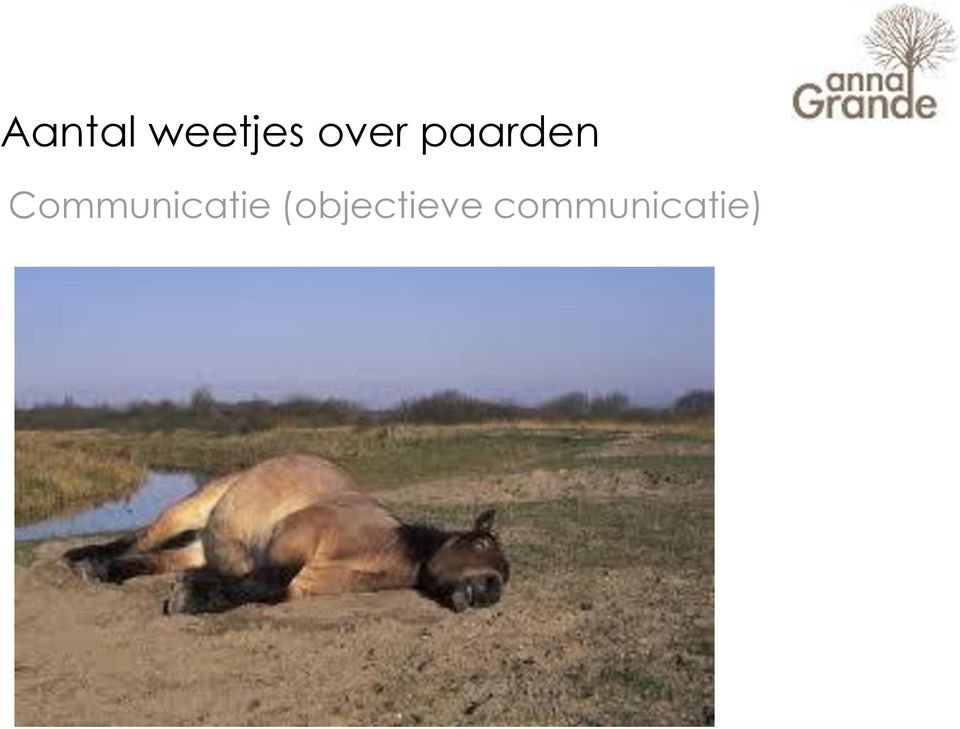 Communicatie