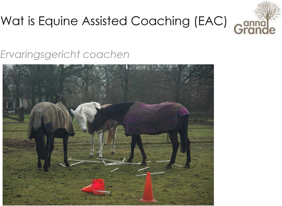 Coaching (EAC)