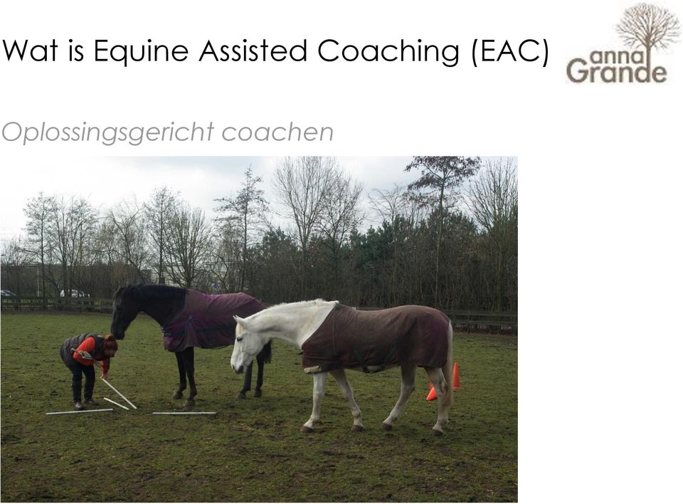 Coaching (EAC)