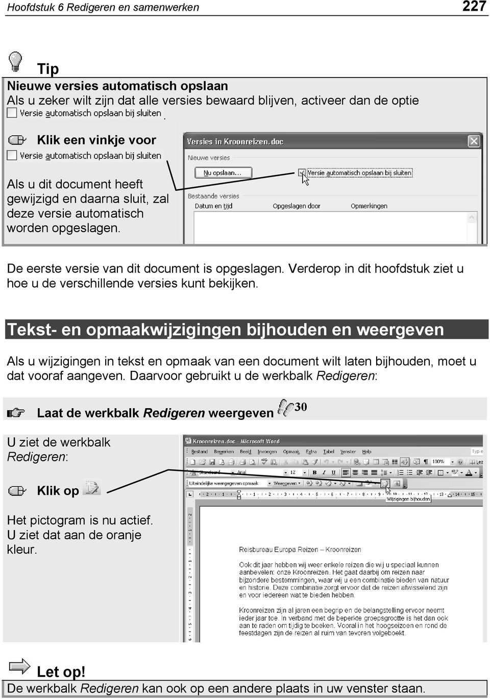 Verderop in dit hoofdstuk ziet u hoe u de verschillende versies kunt bekijken.