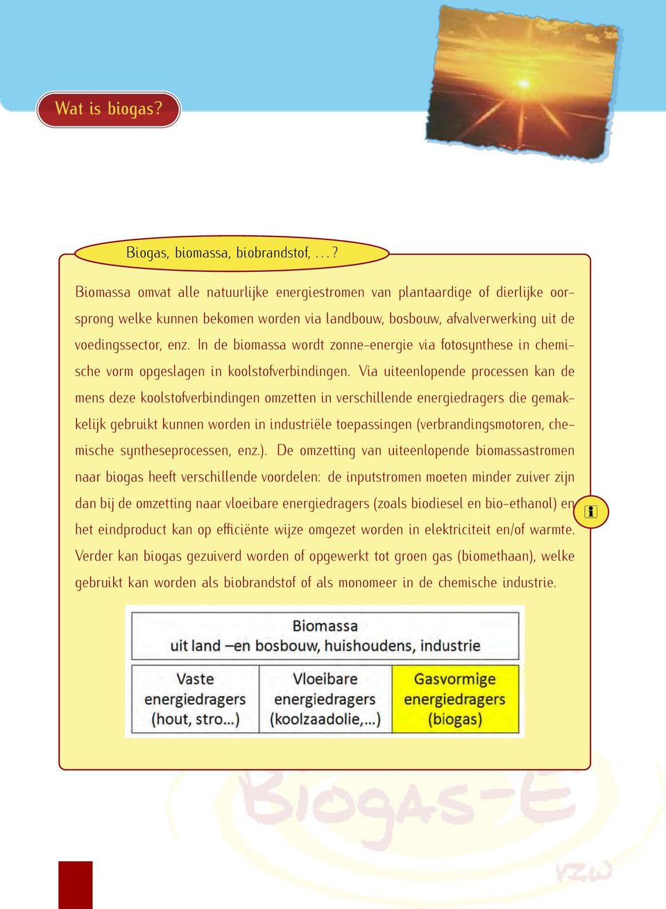 In de biomassa wordt zonne-energie via fotosynthese in chemische vorm opgeslagen in koolstofverbindingen.