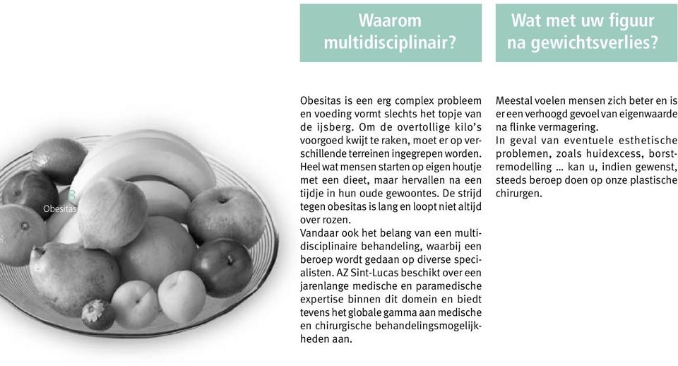 Heel wat mensen starten op eigen houtje met een dieet, maar hervallen na een tijdje in hun oude gewoontes. De strijd tegen obesitas is lang en loopt niet altijd over rozen.