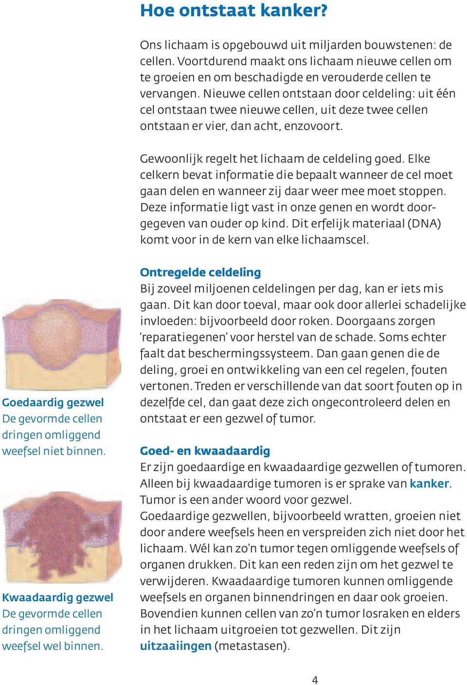 Elke celkern bevat informatie die bepaalt wanneer de cel moet gaan delen en wanneer zij daar weer mee moet stoppen. Deze informatie ligt vast in onze genen en wordt doorgegeven van ouder op kind.