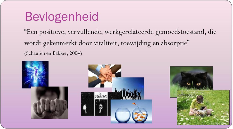 wordt gekenmerkt door vitaliteit,