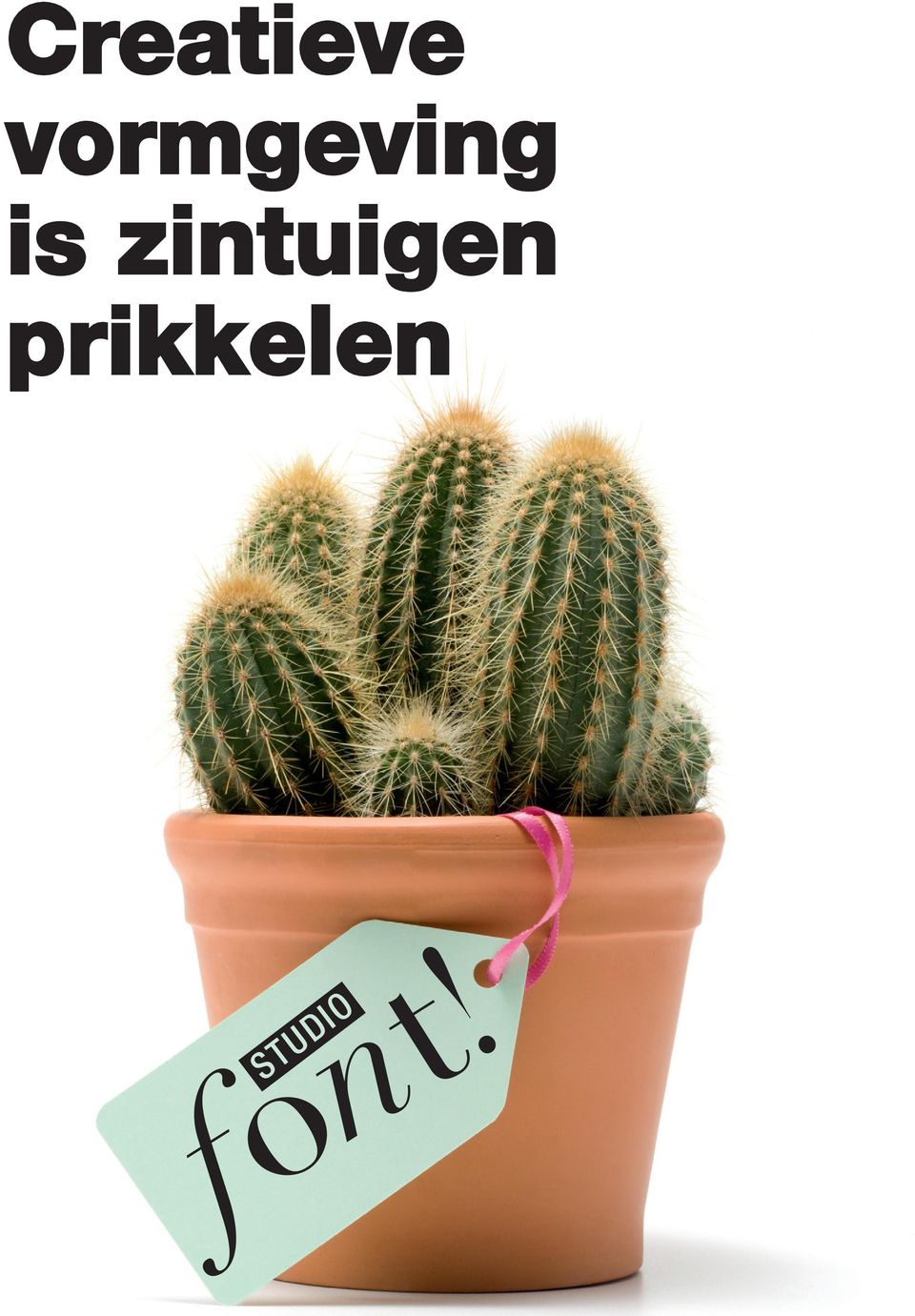 is zintuigen