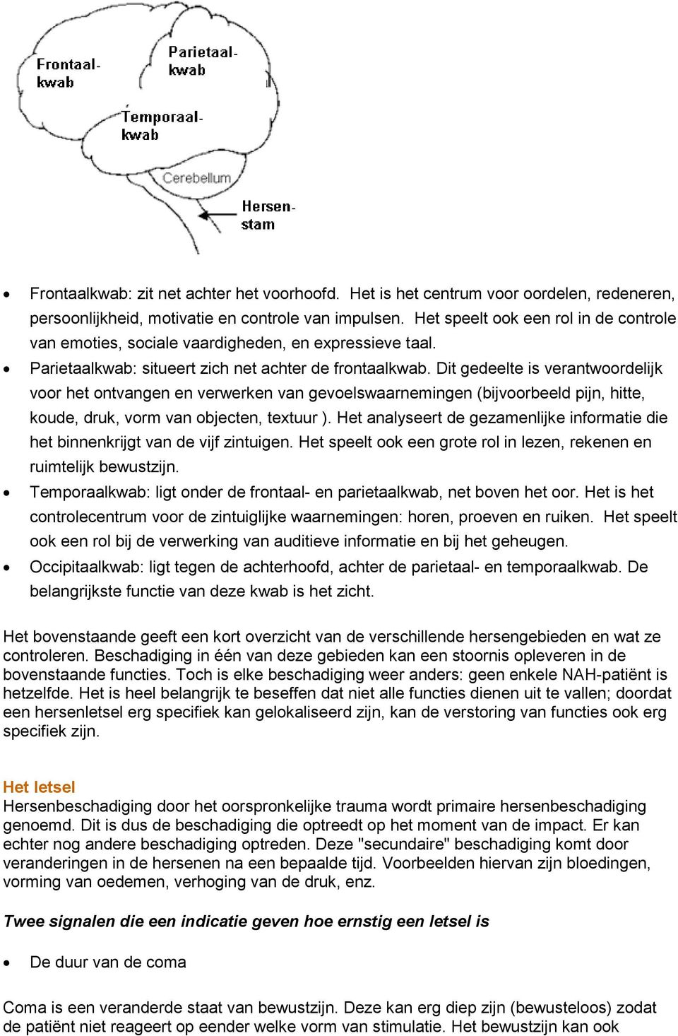 Dit gedeelte is verantwoordelijk voor het ontvangen en verwerken van gevoelswaarnemingen (bijvoorbeeld pijn, hitte, koude, druk, vorm van objecten, textuur ).