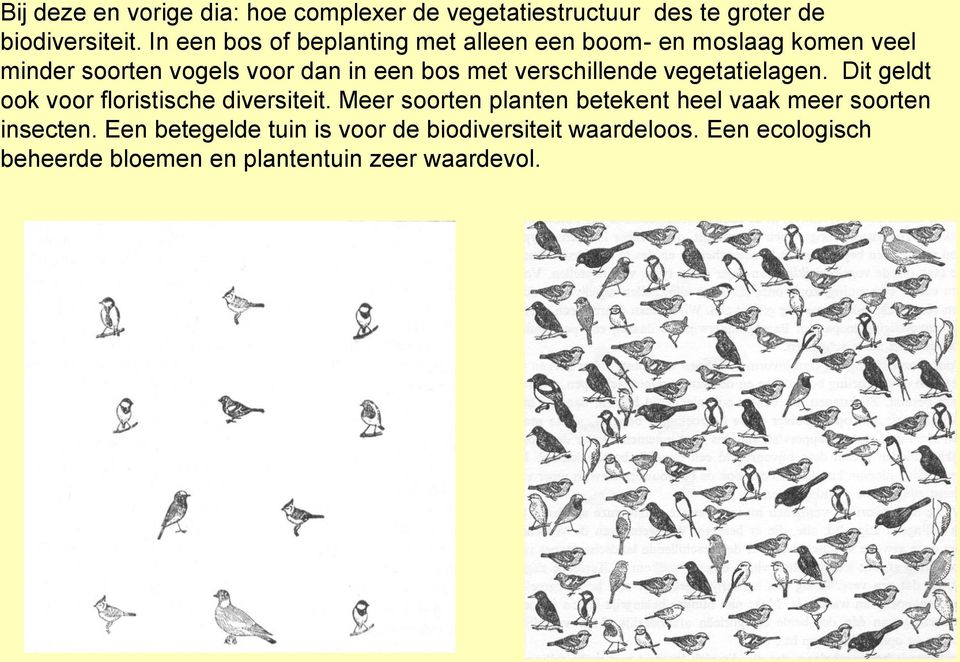 een boom- en moslaag komen veel minder soorten vogels voor dan in een bos met verschillende vegetatielagen.