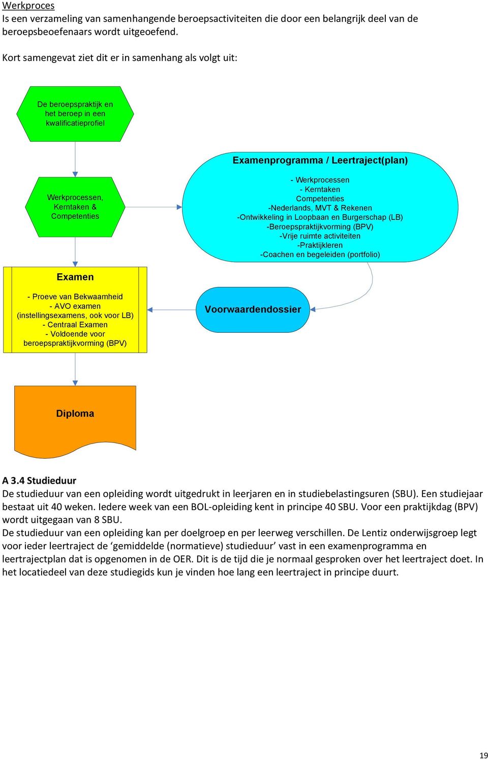 Werkprocessen - Kerntaken Competenties -Nederlands, MVT & Rekenen -Ontwikkeling in Loopbaan en Burgerschap (LB) -Beroepspraktijkvorming (BPV) -Vrije ruimte activiteiten -Praktijkleren -Coachen en