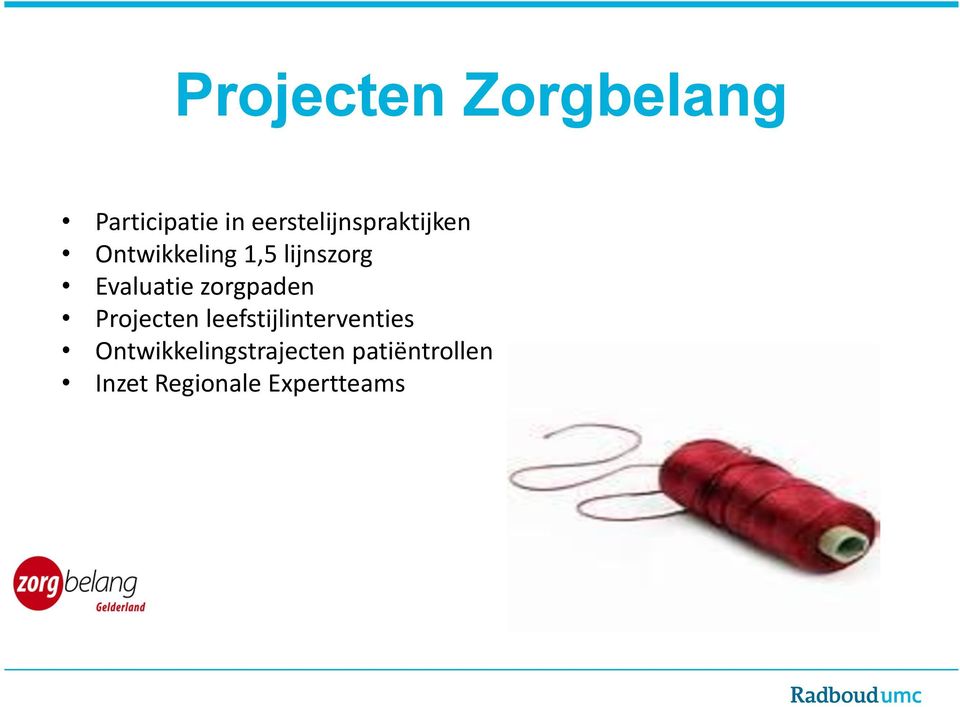 Evaluatie zorgpaden Projecten