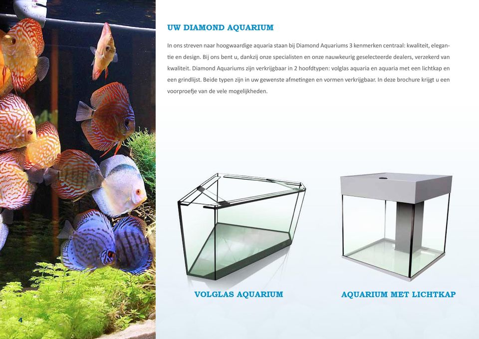 Diamond Aquariums zijn verkrijgbaar in 2 hoofdtypen: volglas aquaria en aquaria met een lichtkap en een grindlijst.