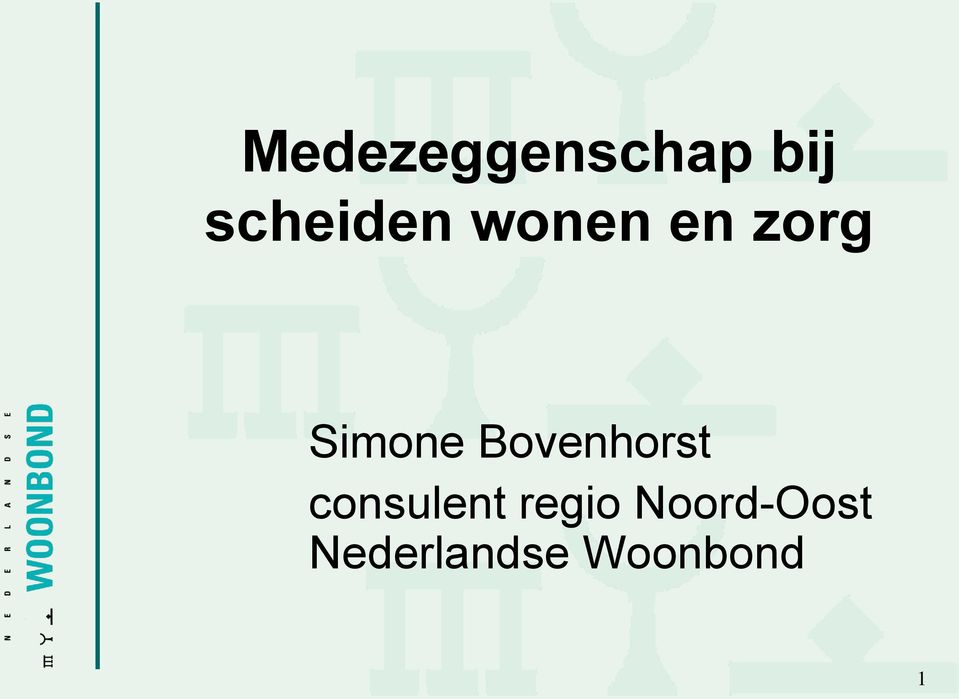 Simone Bovenhorst consulent