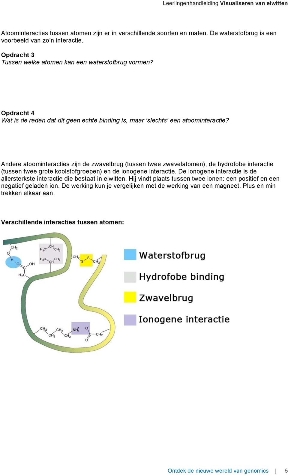 Andere atoominteracties zijn de zwavelbrug (tussen twee zwavelatomen), de hydrofobe interactie (tussen twee grote koolstofgroepen) en de ionogene interactie.