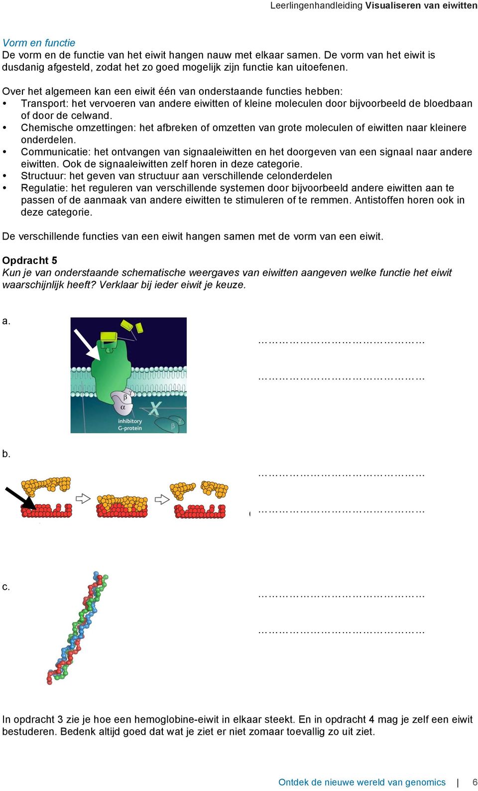 Chemische omzettingen: het afbreken of omzetten van grote moleculen of eiwitten naar kleinere onderdelen.