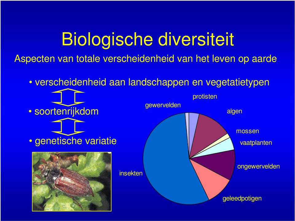 vegetatietypen soortenrijkdom gewervelden protisten algen