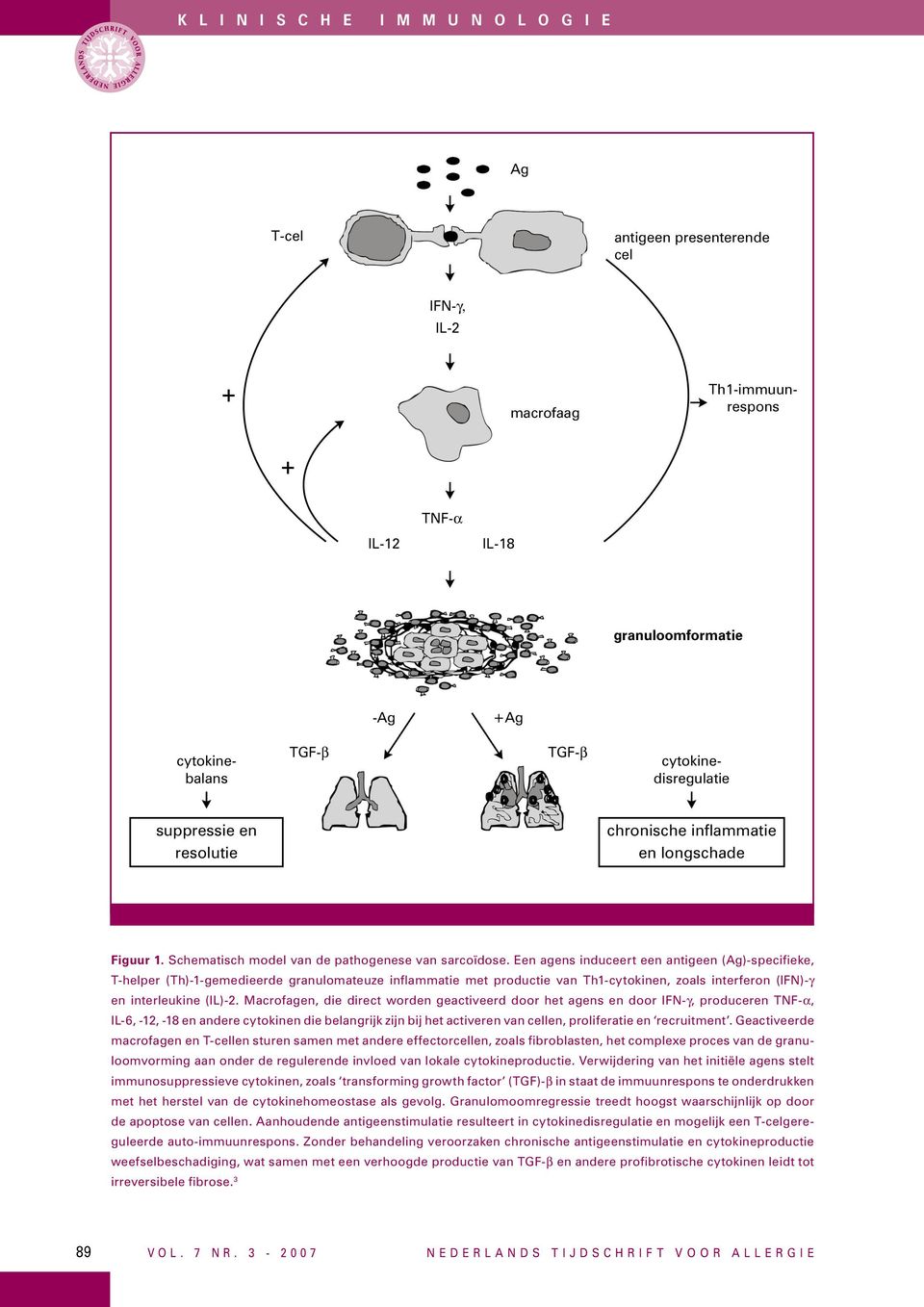 Een agens induceert een antigeen (Ag)-specifieke, T-helper (Th)-1-gemedieerde granulomateuze inflammatie met productie van Th1-cytokinen, zoals interferon (IFN)-γ en interleukine (IL)-2.