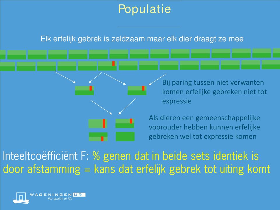 gemeenschappelijke voorouder hebben kunnen erfelijke gebreken wel tot expressie komen