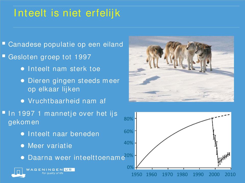 Vruchtbaarheid nam af In 1997 1 mannetje over het ijs gekomen Inteelt naar