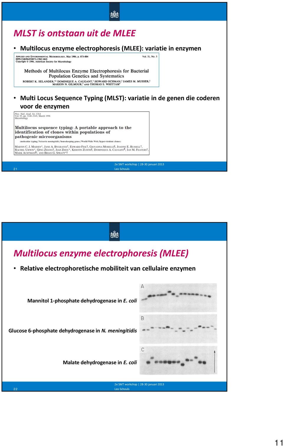 electrophoresis (MLEE) Relative electrophoretische mobiliteit van cellulaire enzymen Mannitol 1