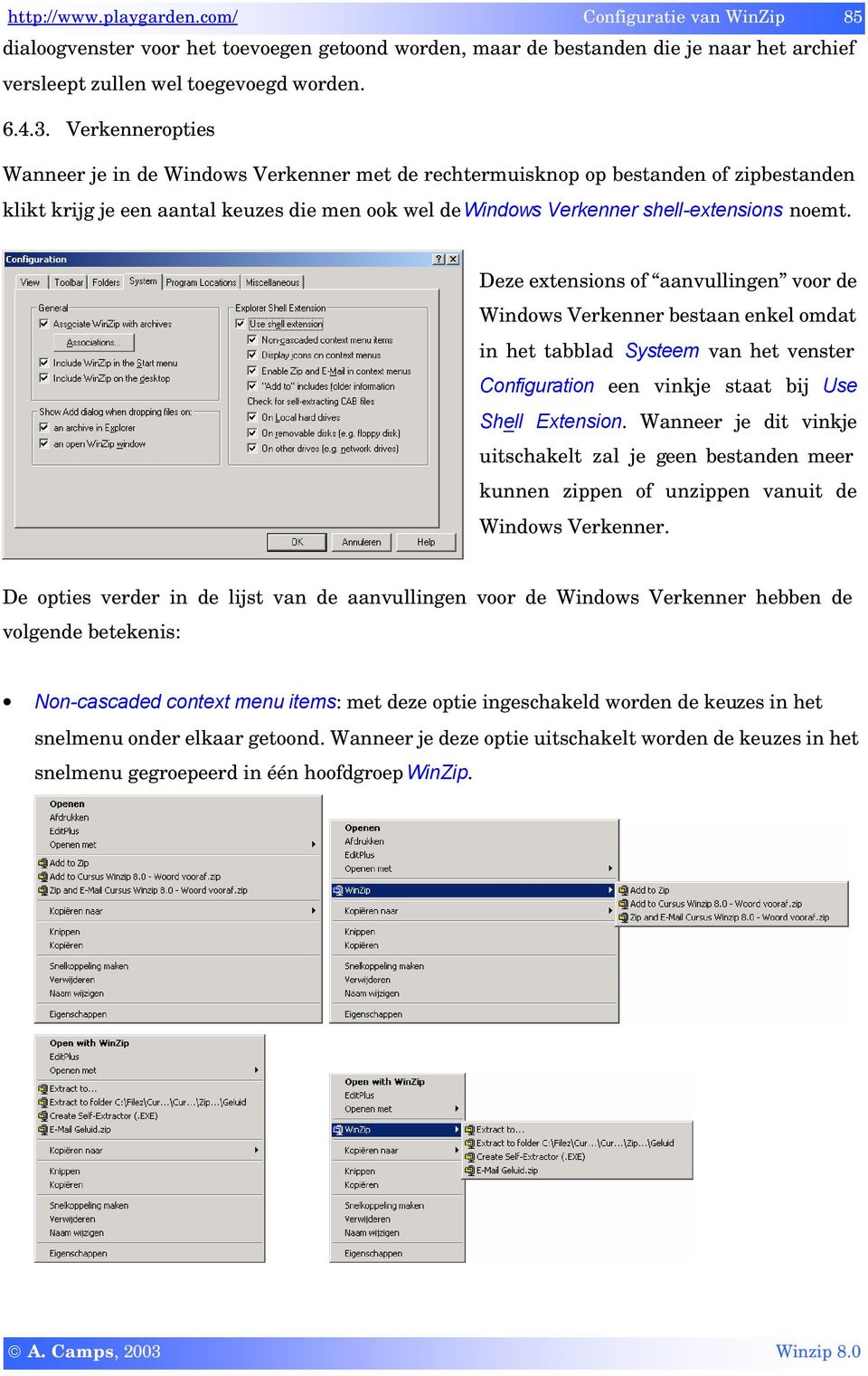 Deze extensions of aanvullingen voor de Windows Verkenner bestaan enkel omdat in het tabblad Systeem van het venster Configuration een vinkje staat bij Use Shell Extension.