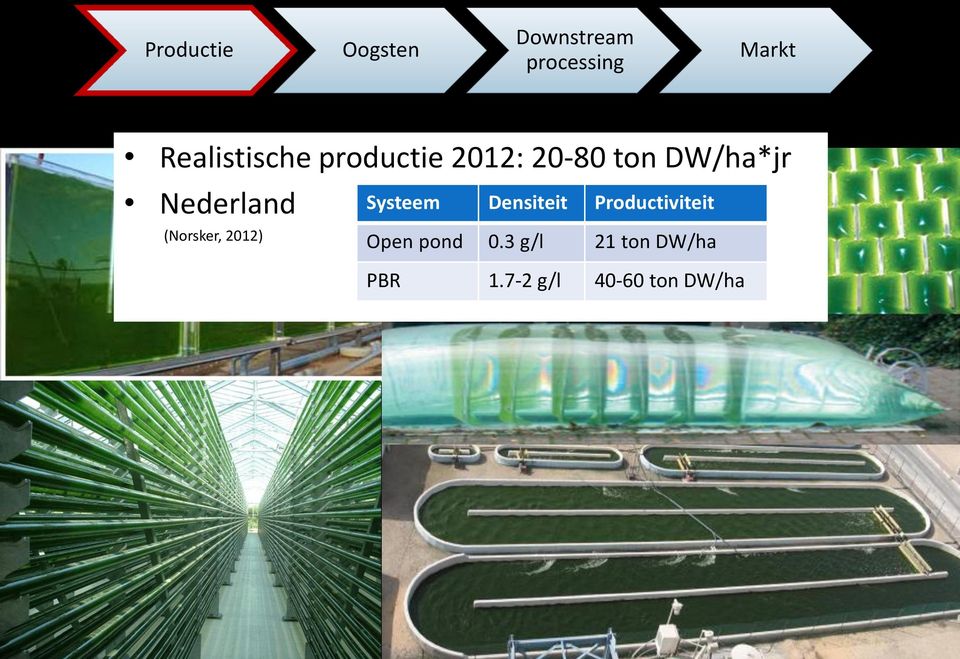 Nederland (Norsker, 2012) Systeem Densiteit