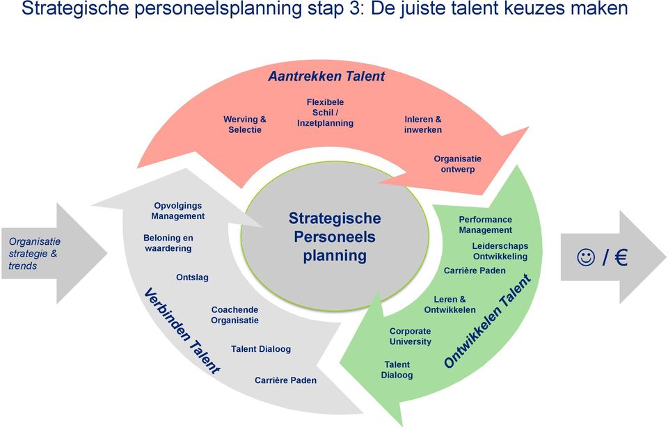 Management Organisatie Beloning en waardering Leiderschaps strategie & Ontwikkeling trends / Carrière Paden Ontslag