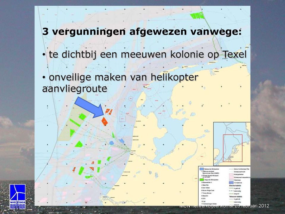 meeuwen kolonie op Texel