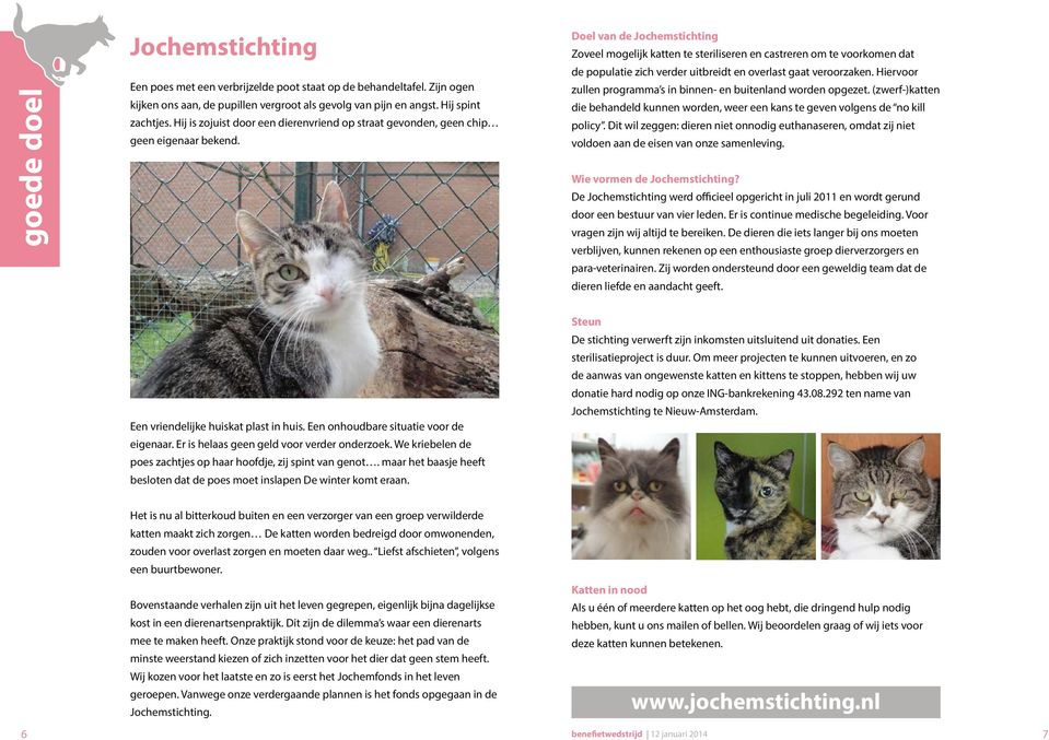 Doel van de Jochemstichting Zoveel mogelijk katten te steriliseren en castreren om te voorkomen dat de populatie zich verder uitbreidt en overlast gaat veroorzaken.