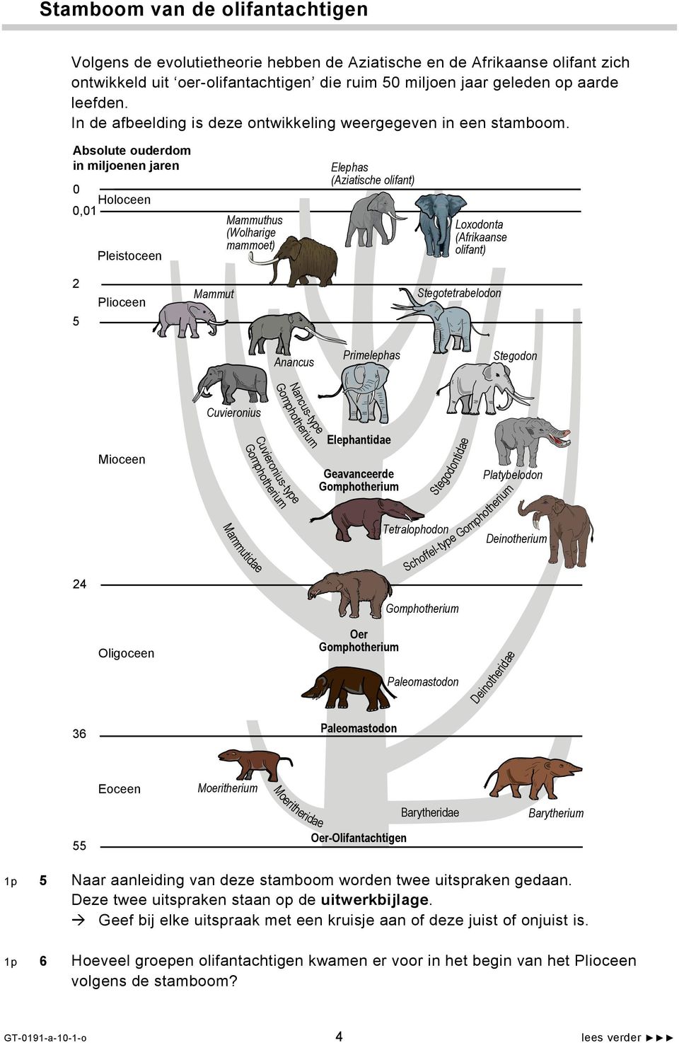 Absolute ouderdom in miljoenen jaren 0 Holoceen 0,01 Pleistoceen Mammuthus (Wolharige mammoet) Elephas (Aziatische olifant) Loxodonta (Afrikaanse olifant) 2 5 Plioceen Mammut Stegotetrabelodon