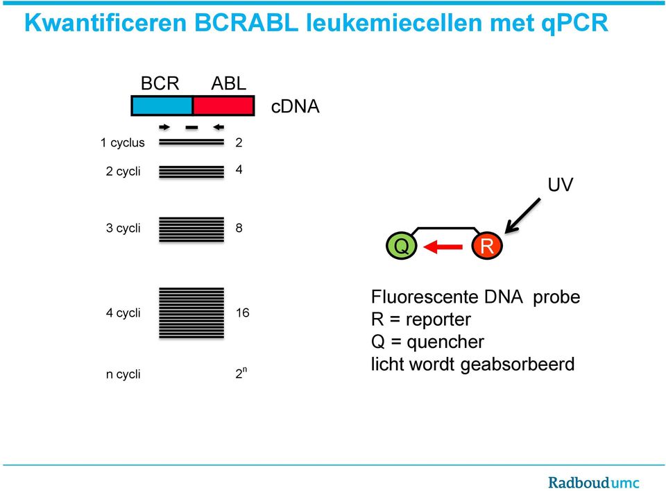 R 4 cycli n cycli 16 2 n Fluorescente DNA probe