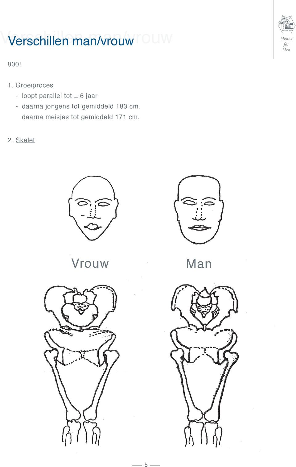 daarna jongens tot gemiddeld 183 cm.