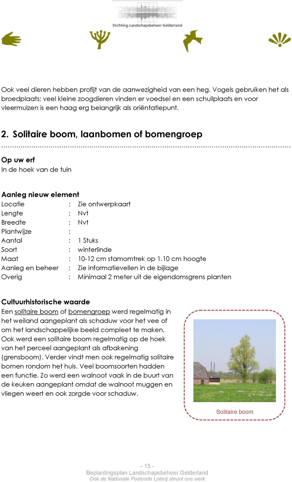 Solitaire boom, laanbomen of bomengroep Op uw erf In de hoek van de tuin Aanleg nieuw element Locatie : Zie ontwerpkaart Lengte : Nvt Breedte : Nvt Plantwijze : Aantal : 1 Stuks Soort : winterlinde