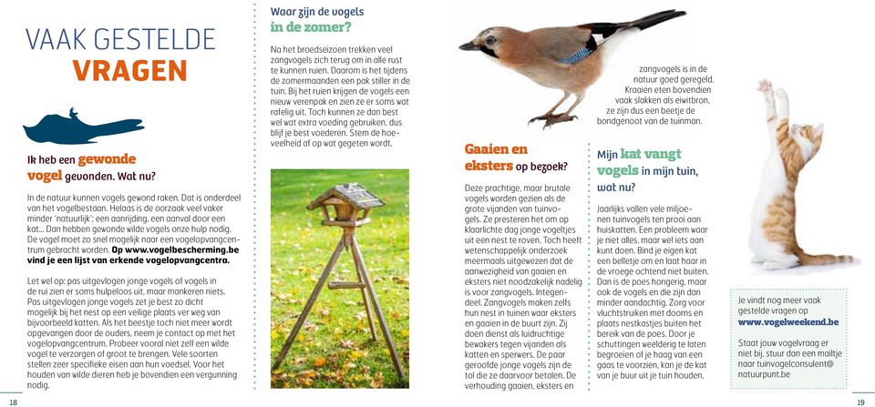 De vogel moet zo snel mogelijk naar een vogelopvangcentrum gebracht worden. Op www.vogelbescherming.be vind je een lijst van erkende vogelopvangcentra.