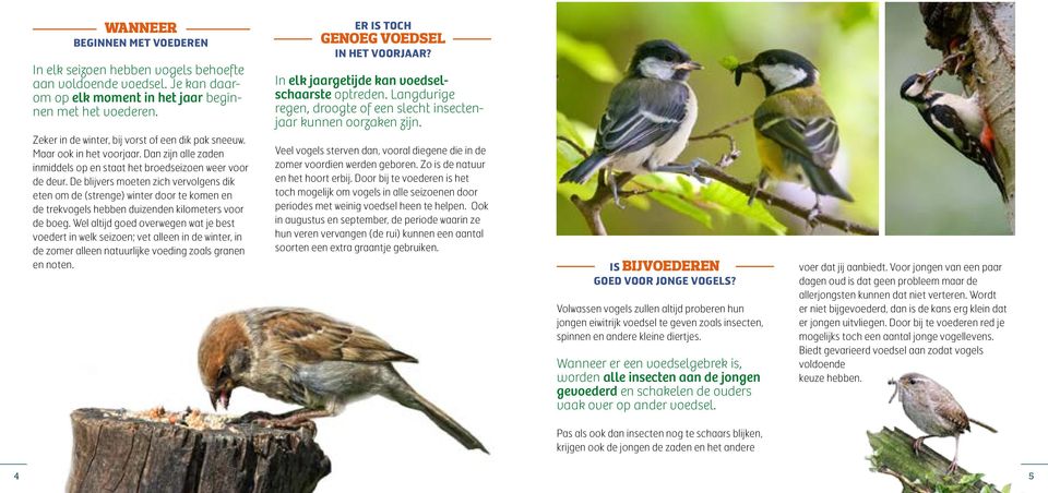 De blijvers moeten zich vervolgens dik eten om de (strenge) winter door te komen en de trekvogels hebben duizenden kilometers voor de boeg.