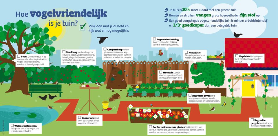 tuin is minder arbeidsintensief en 1/3 e goedkoper dan een betegelde tuin Begroeide schutting Vogels vinden hier dekking, voedsel en nestgelegenheid.