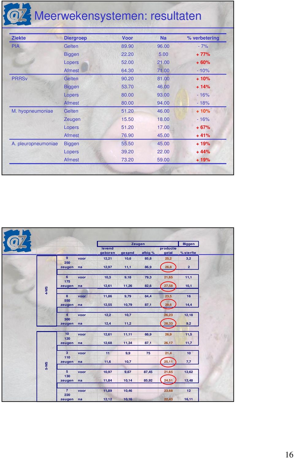 pleuropneumoniae Biggen 55.50 45.00 + 19% Lopers Afmest 39. 73. 22.00 59.