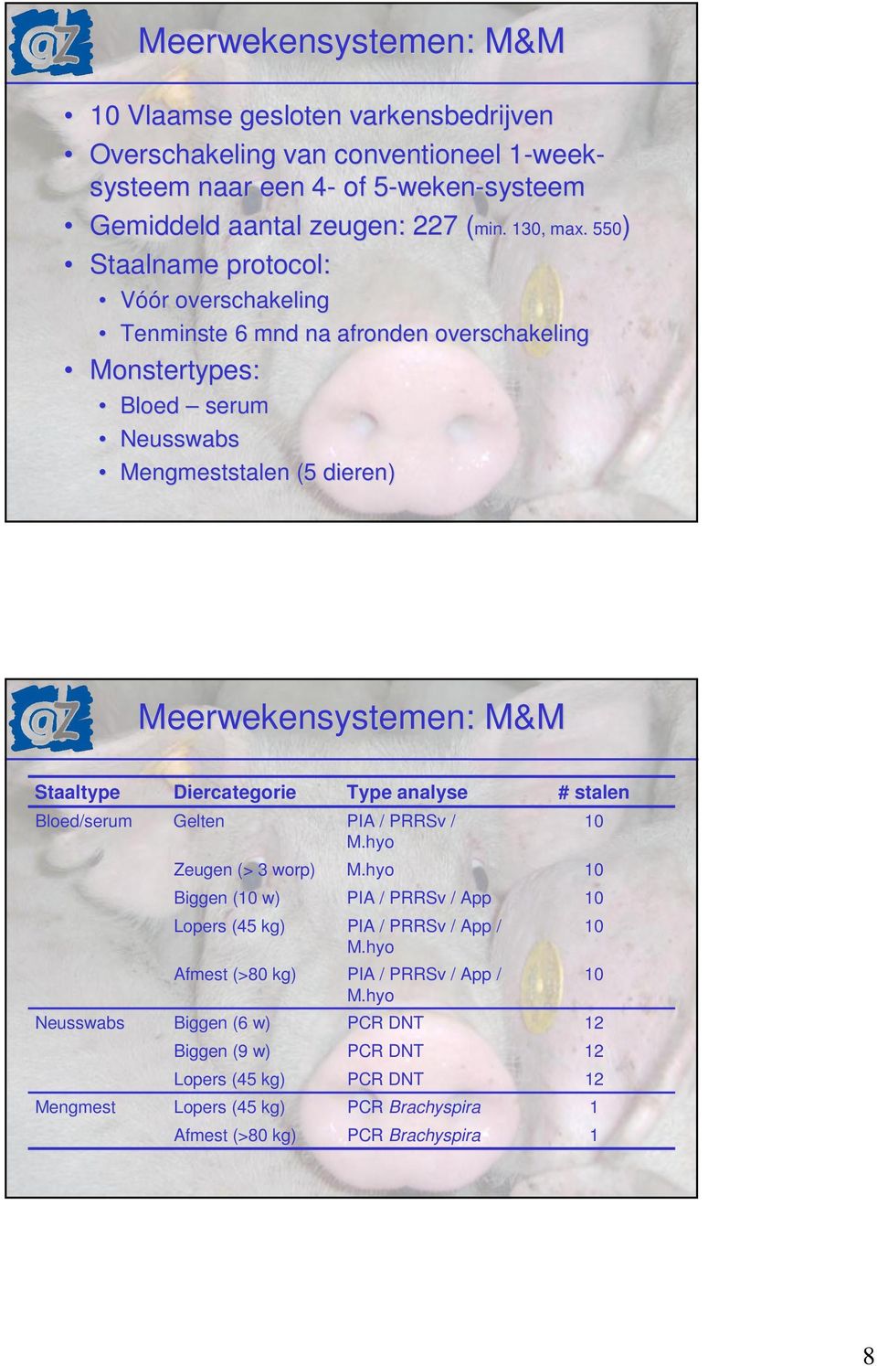 550) Vóór r overschakeling Tenminste 6 mnd na afronden overschakeling Monstertypes: Bloed serum Neusswabs Mengmeststalen (5 dieren) Meerwekensystemen: : M&M Staaltype Bloed/serum Diercategorie