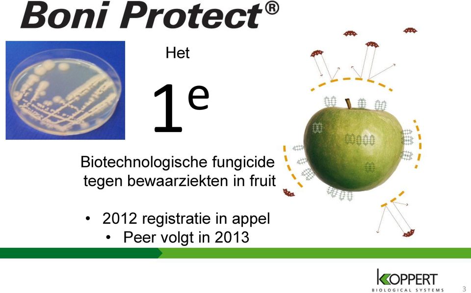 bewaarziekten in fruit 2012