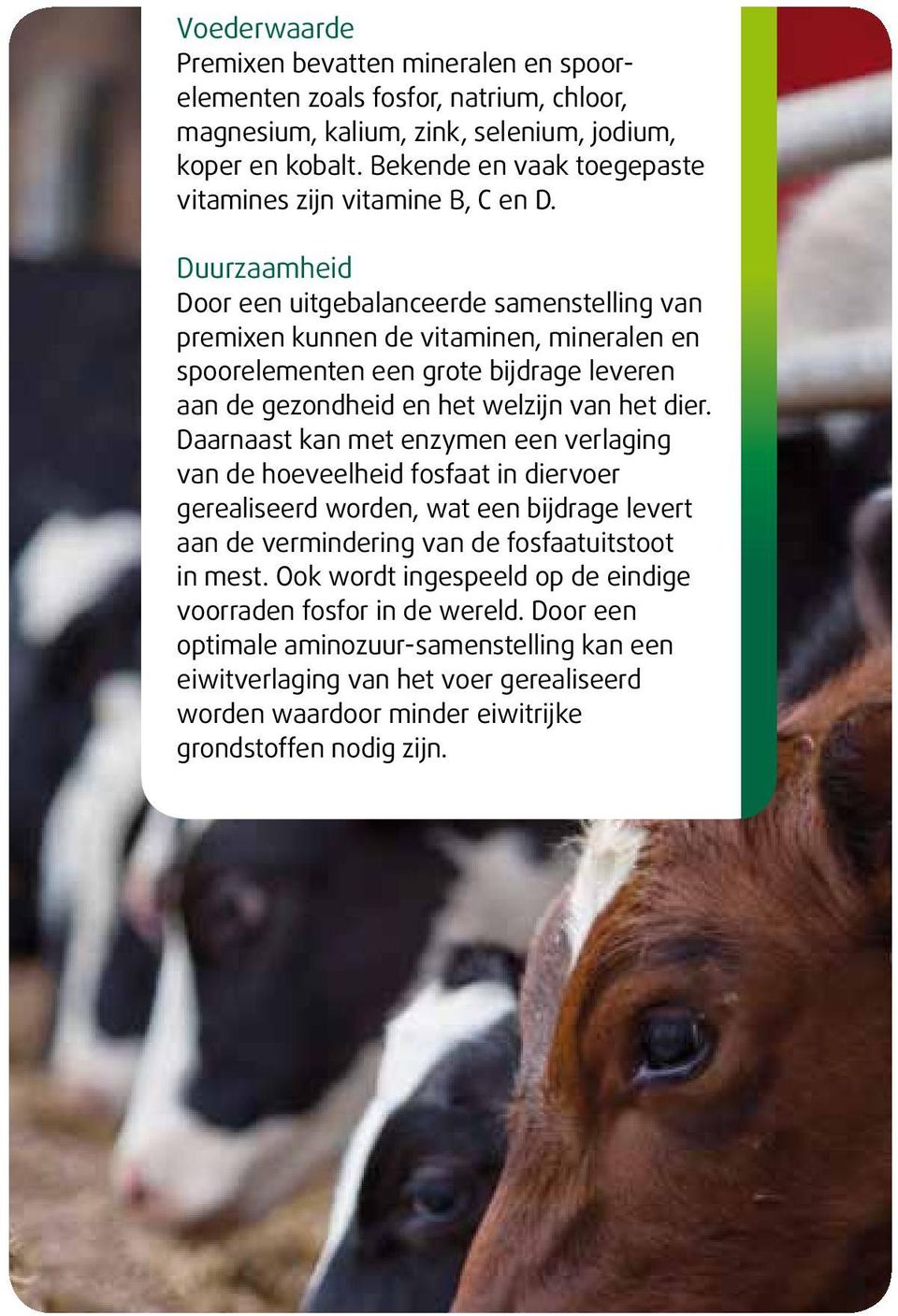 Duurzaamheid Door een uitgebalanceerde samenstelling van premixen kunnen de vitaminen, mineralen en spoorelementen een grote bijdrage leveren aan de gezondheid en het welzijn van het dier.