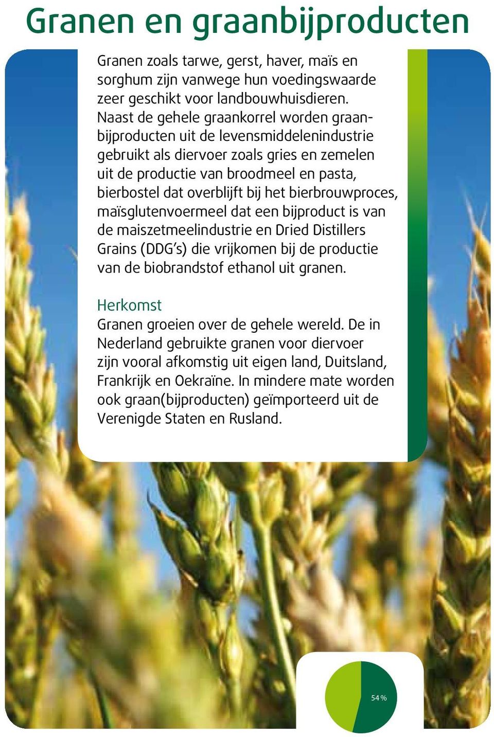 het bierbrouwproces, maïsglutenvoermeel dat een bijproduct is van de maiszetmeelindustrie en Dried Distillers Grains (DDG s) die vrijkomen bij de productie van de biobrandstof ethanol uit granen.