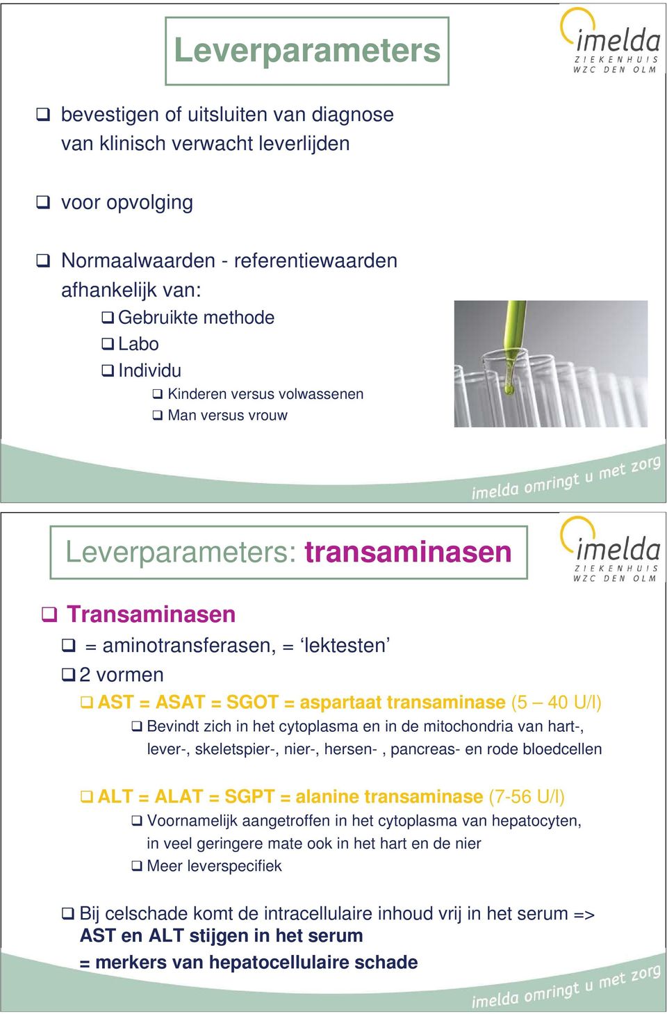 cytoplasma en in de mitochondria van hart-, lever-, skeletspier-, nier-, hersen-, pancreas- en rode bloedcellen ALT = ALAT = SGPT = alanine transaminase (7-56 U/l) Voornamelijk aangetroffen in het