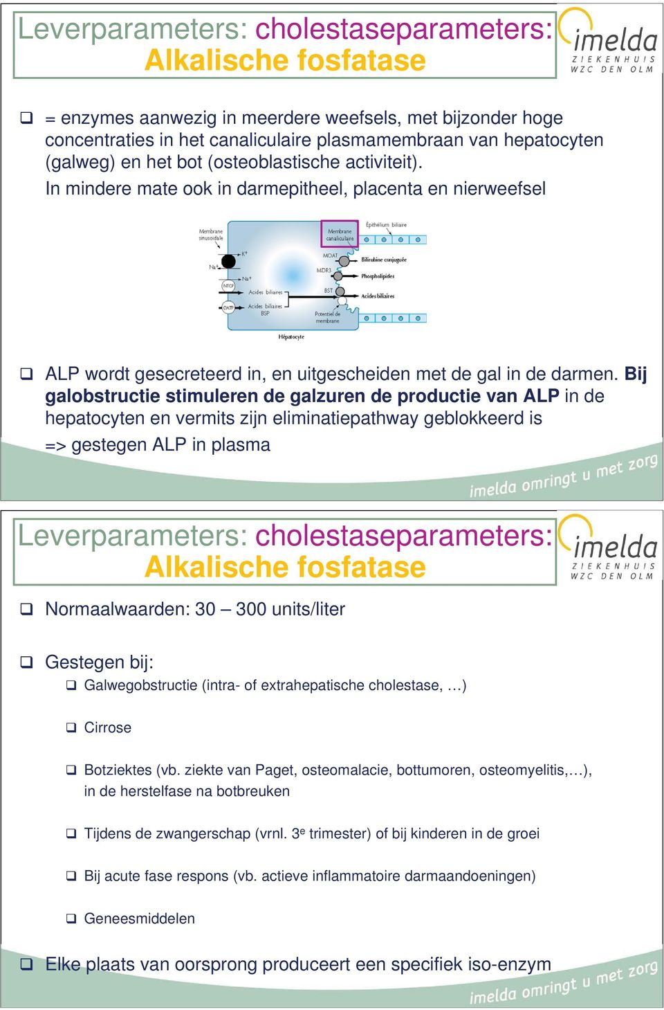 Bij galobstructie stimuleren de galzuren de productie van ALP in de hepatocyten en vermits zijn eliminatiepathway geblokkeerd is => gestegen ALP in plasma Leverparameters: cholestaseparameters: