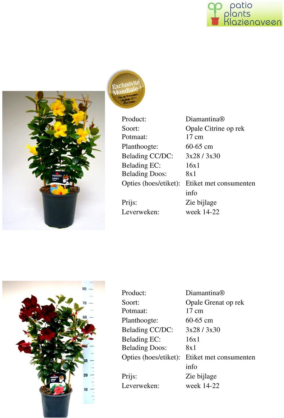 info Diamantina Opale Grenat op rek 17 cm Planthoogte: 60-65 cm Belading CC/DC: 3x28 /