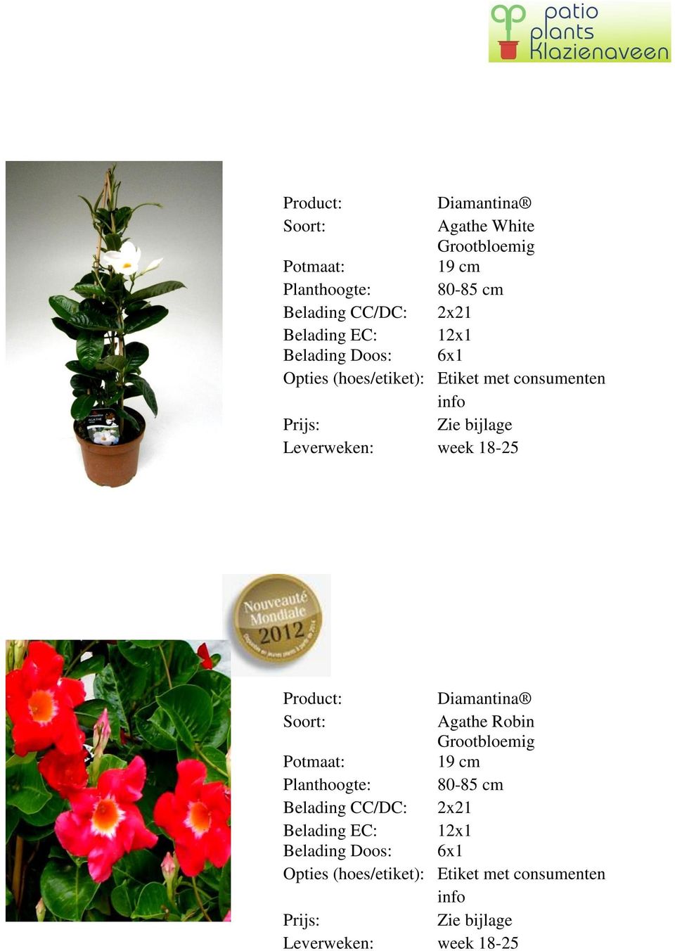 18-25 Diamantina Agathe Robin Grootbloemig Planthoogte: 80-85 cm Belading